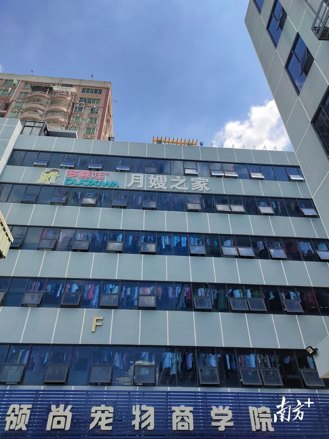 互联网+家政 提升服务质量又吸引年轻人入行(图5)