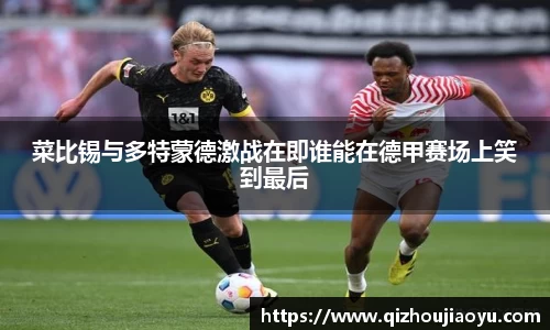 菜比锡与多特蒙德激战在即谁能在德甲赛场上笑到最后