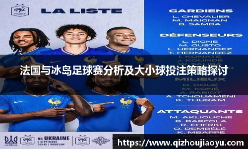 法国与冰岛足球赛分析及大小球投注策略探讨